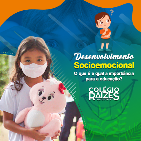 O Que Desenvolvimento Socioemocional E Qual A Sua Import Ncia Para A