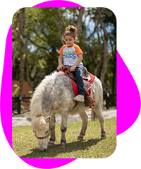 Colégio Mogi das Cruzes, Ensino Médio, Ensino Infantil