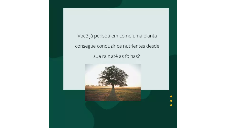 Projeto Meio Ambiente-Capilaridade e formação das nuvens