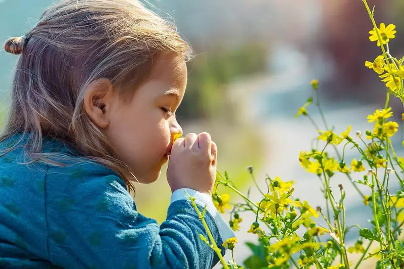 porque trabalhar a natureza na educação infantil