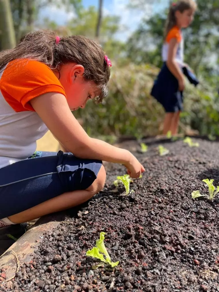 nas escolas,projeto educação ambiental nas escolas