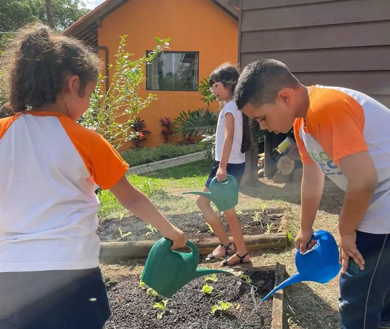 Desenvolvimento da educação ambiental