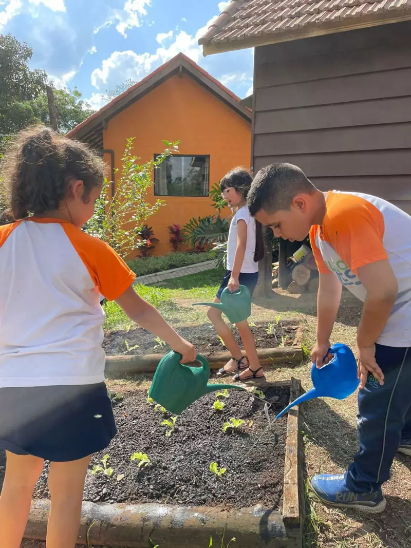 qual-a-importância-da-educação-ambiental-nas-escolas qual-a-importância-da-educação-ambiental-nas-escolas