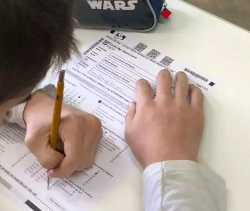 Ensino de inglês para a educação infantil