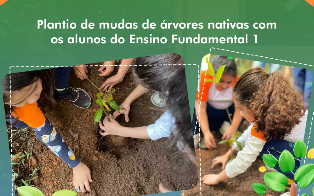 EDUCAÇÃO AMBIENTAL