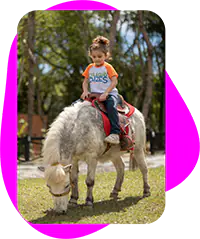 Colégio Mogi das Cruzes, Ensino Médio, Ensino Infantil